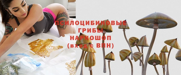 амф Арсеньев