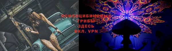 винт Балахна