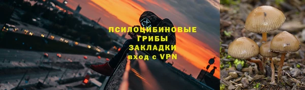 индика Алапаевск